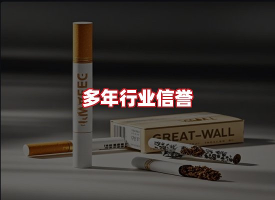专业团队